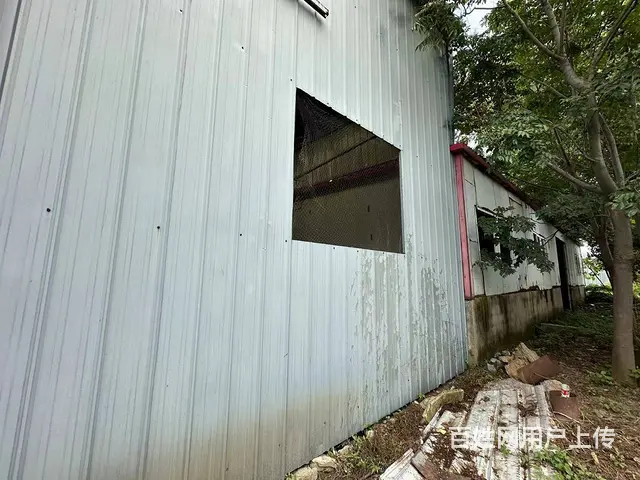 （徐州找店网）大庙独门独院厂房仓库养殖场出租 - 图片 5