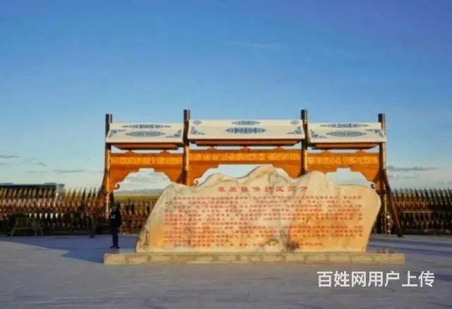 近距离观察立属于天地之间，傲立于大自然的勇者——狼 - 图片 1