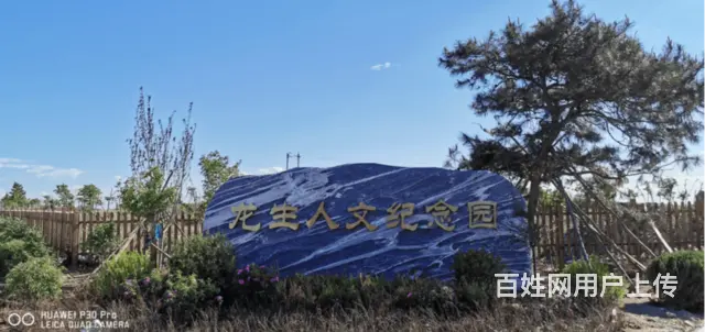 沈阳官方龙生人文纪念园看墓专车接送 - 图片 3
