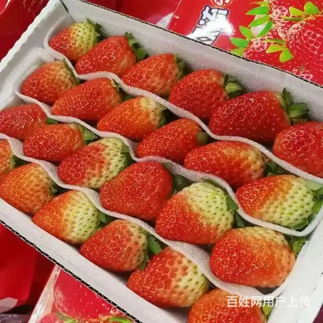 水果批发供应成都配送联系电话水果批发市场 - 图片 1