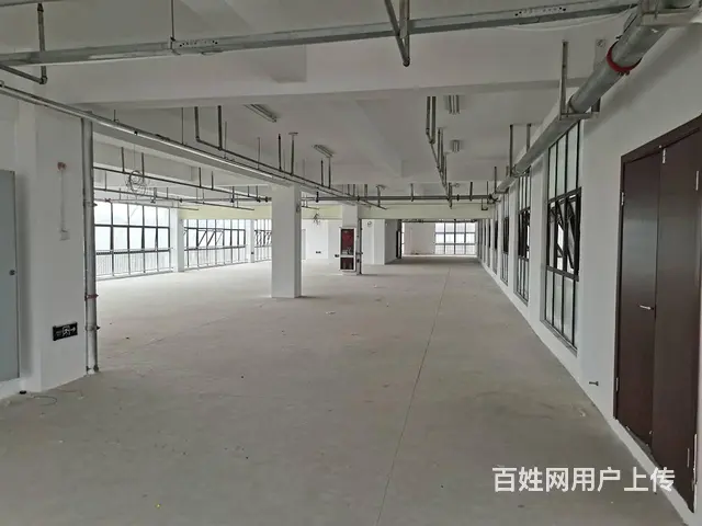 产业园办公场地出租，200平到2000平大小可分割，行业不限 - 图片 3