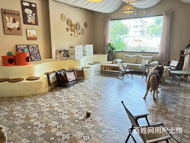 （速转网）免费找店 大型印象商场对面，360平租金5600元 - 图片 8