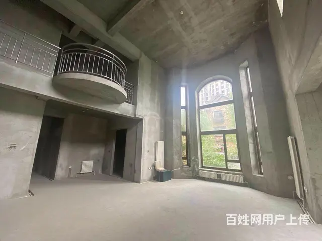 群力盛和天下挑空别墅998万带车库边户大花园满2年随时看房 - 图片 1
