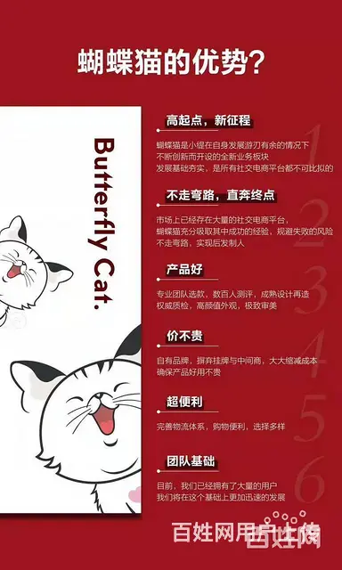 山西蝴蝶猫微商南昌总代理是谁—安娜团队*牛 - 图片 3