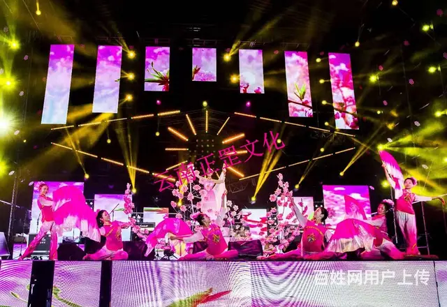 年会策划、舞美搭建、灯光音响、LED屏、演出表演 - 图片 6