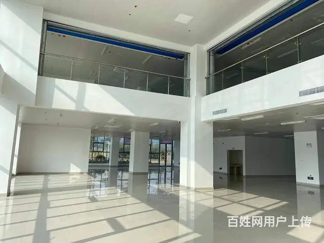 高端写字楼一楼底商招租，咖啡厅书吧简餐展厅，招商直租无中介费 - 图片 3