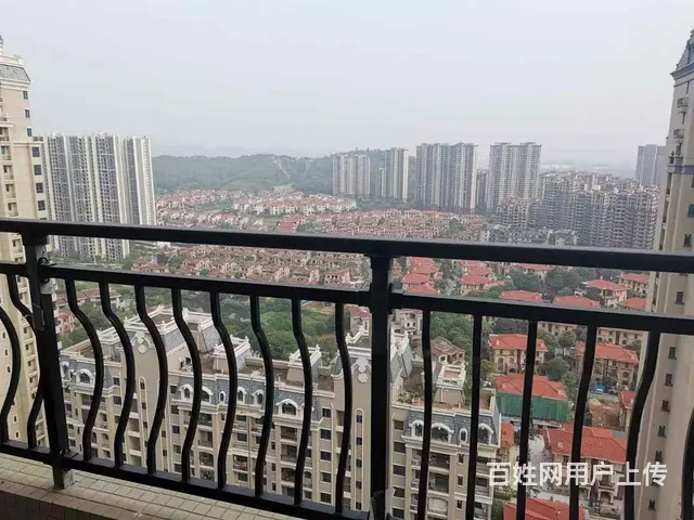 轻轨站旁碧桂园山湖城毛坯四房 - 图片 4