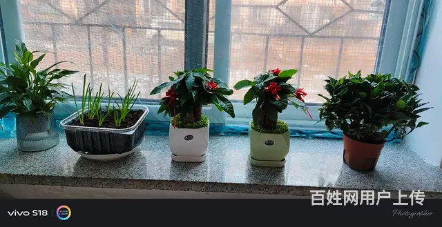 【搞定了！】休闲运动 - 图片
