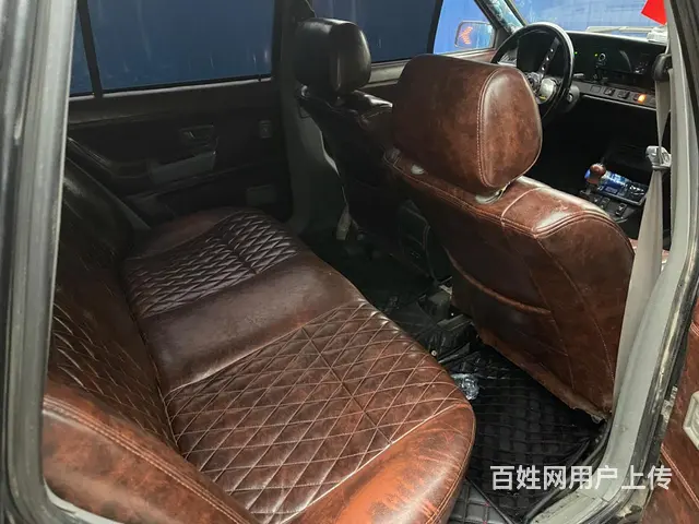 普桑 - 图片 11