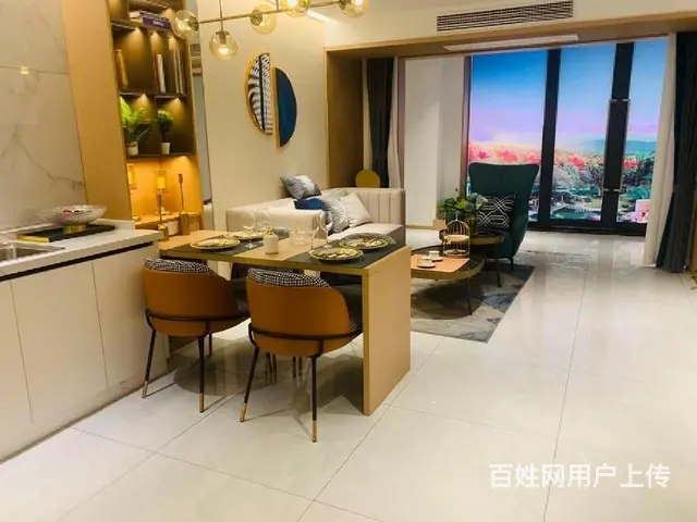 急售环球港旁复试挑高公寓单价9999起准现房民用水电落地窗 - 图片 8
