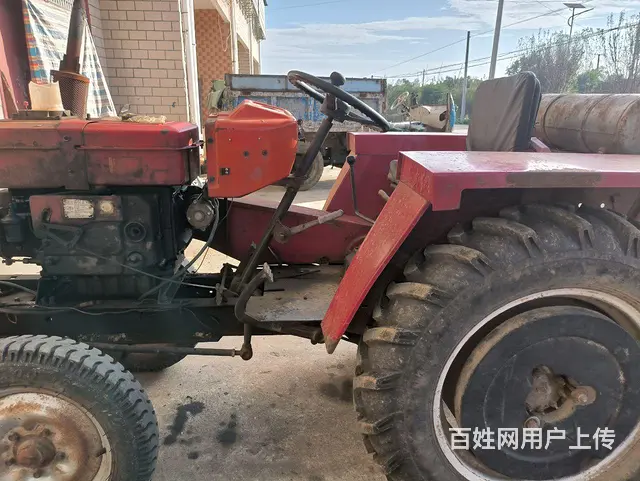 洛阳东方红32王 - 图片 2