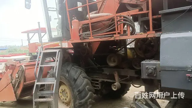 巨明17年五行 - 图片 1