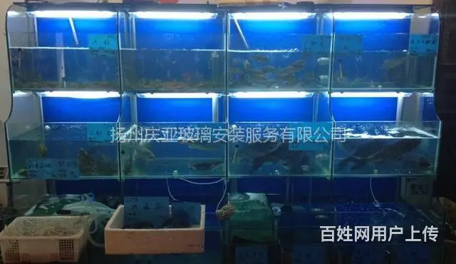 扬州【庆亚】海鲜大闸蟹玻璃鱼缸测量定做安装报价 - 图片 6