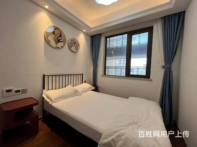 出门武汉站 东湖旁 近杨春湖实验学校 欢乐天际 徐 - 图片 6