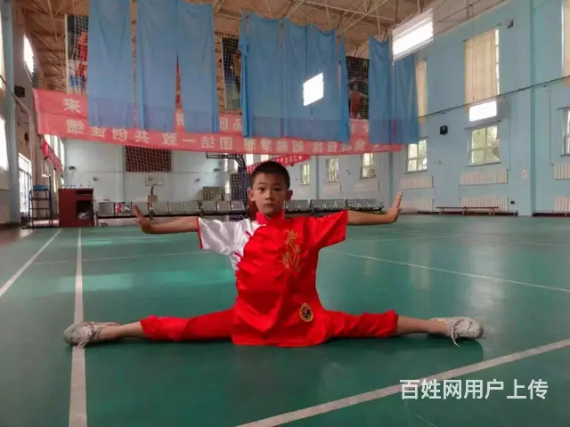 自由搏击散打武术 - 图片 11