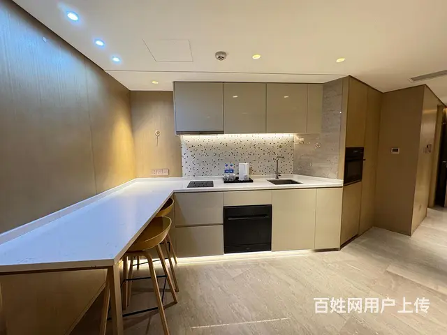 紧急出租欧美中心国际公寓1室81.00平 - 图片 2