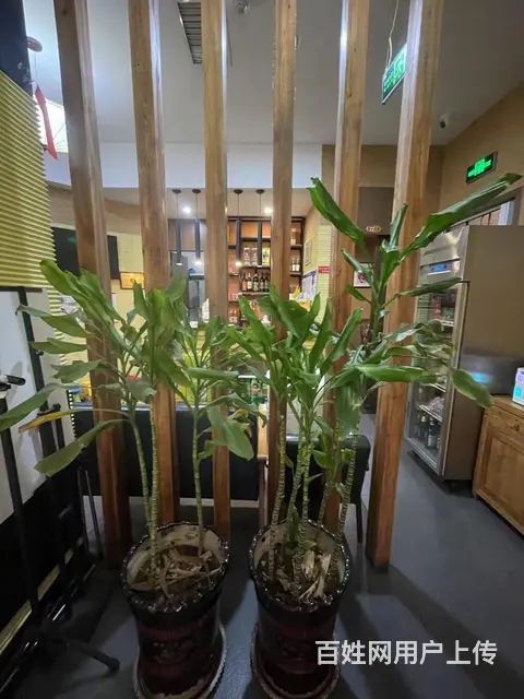 张店区中润大道新玛特营业中餐饮店整体出 - 图片 9