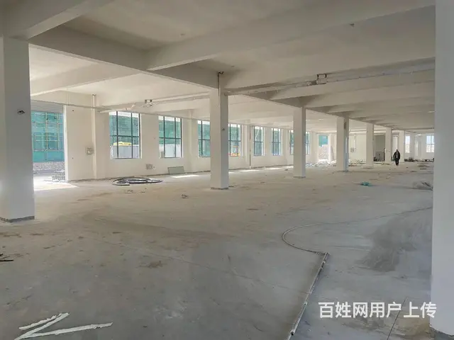 （房东出租）张村魏桥电厂附近纯一层新框架标准厂房出租 - 图片 5