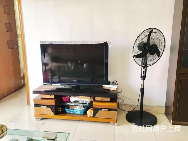白天鹅花园 3房精装 俱往矣 数风流人物 还看今朝 - 图片 3