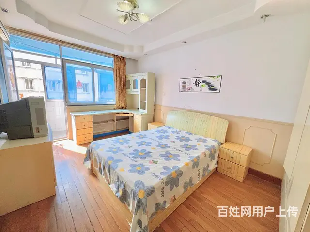 实图 三香广场地铁口 潼泾新村两房朝南一样大 四楼 石路 - 图片 4