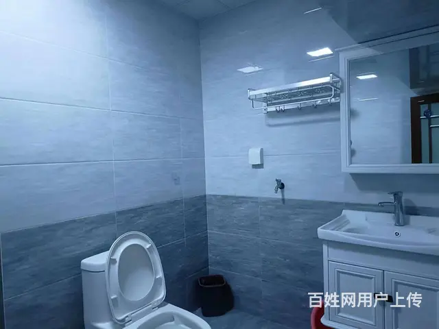 极中心 普通住宅2厅 精装修 - 图片 4