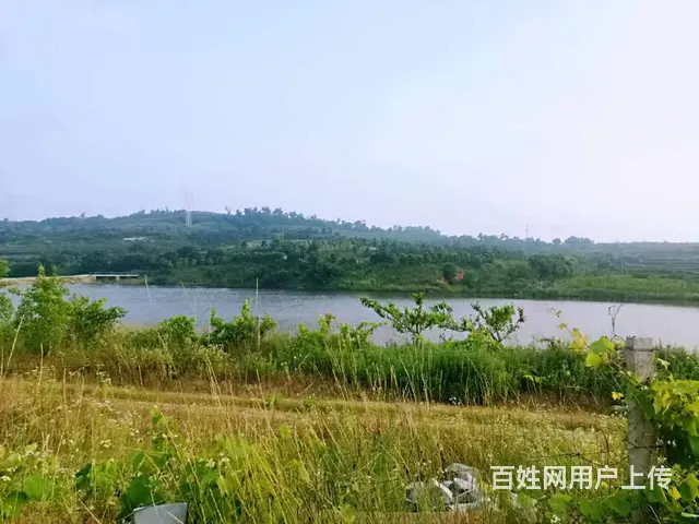 出售崖西果园及水库 - 图片 2