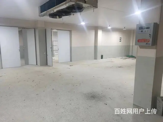 (58今铺)罗庄好地段 建设中的冷库车间厂房转让 带院子 - 图片 8