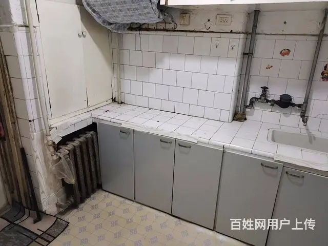 东香胡同 普通住宅0厅 简单装修 - 图片 2