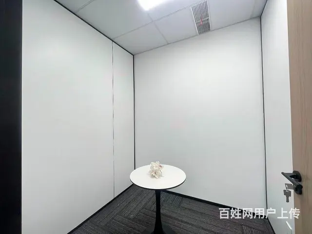 近江地铁口 中豪望江国际200方豪装拎包办公 价格好谈 - 图片 11