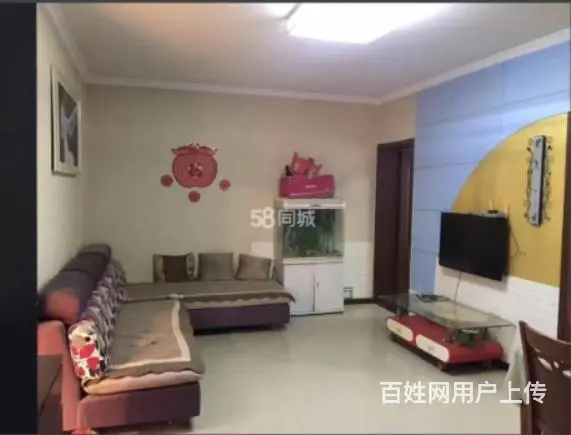 新华街民权一巷 普通住宅 中等装修 - 图片 6