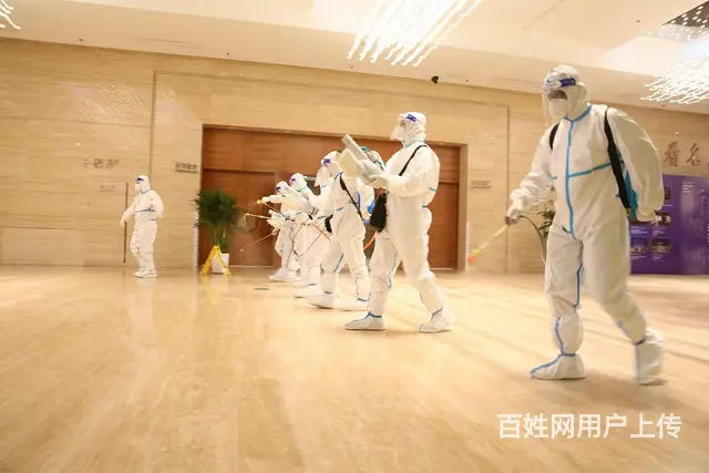 专业消杀消毒公司、灭鼠、灭蟑螂、灭蚊蝇！ - 图片 2