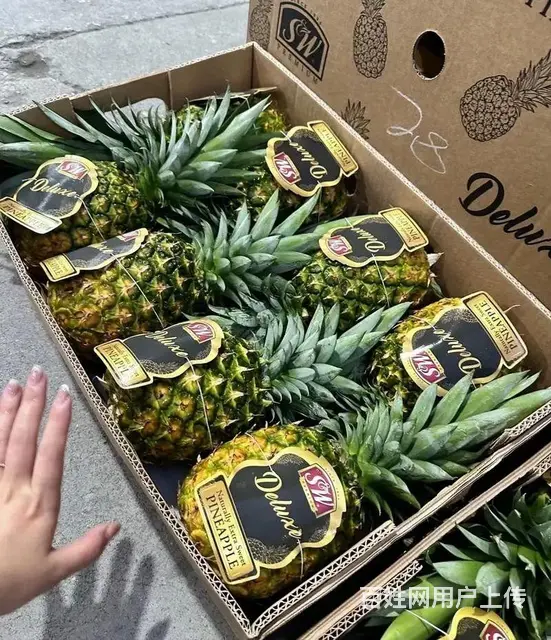 水果供 应水果批发市场全品类水果新鲜配送全成都上 - 图片 6