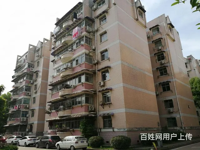 岳家嘴48号线中南医院 英特小区居家两室 山河大厦 - 图片 9