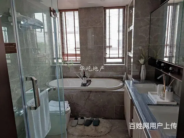 潘安新城城旁大型商业奥特莱斯旁的景区别墅，出门即轻轨 - 图片 4