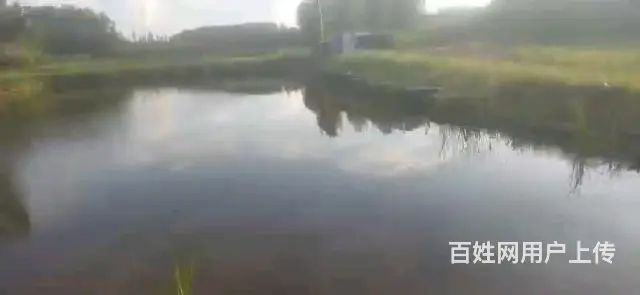 鱼塘出租，出售 - 图片