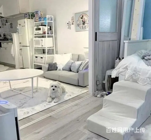 惊爆价（新房免佣）市区广化桥临南大街吾悦广场运河天地精装公寓 - 图片 4