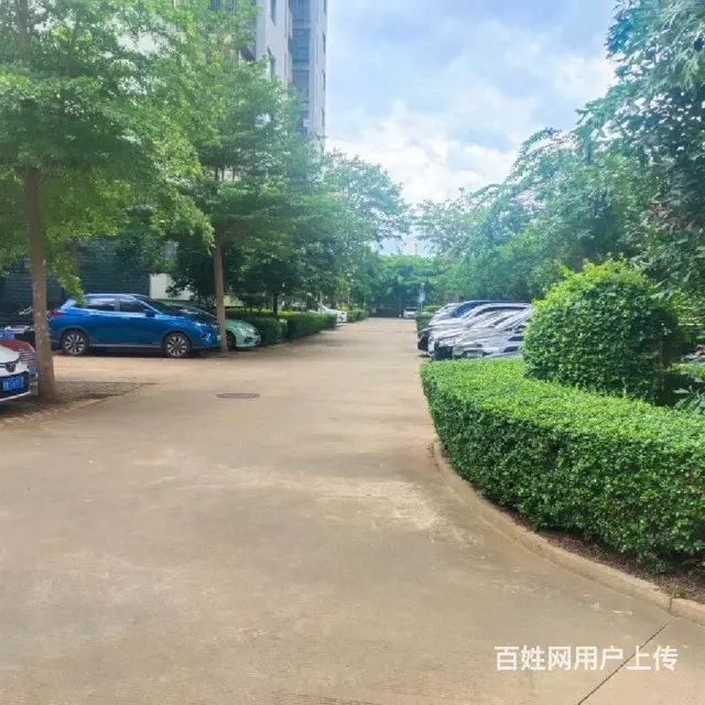 新大洲大道   儒俊雅苑2房出售 - 图片 9