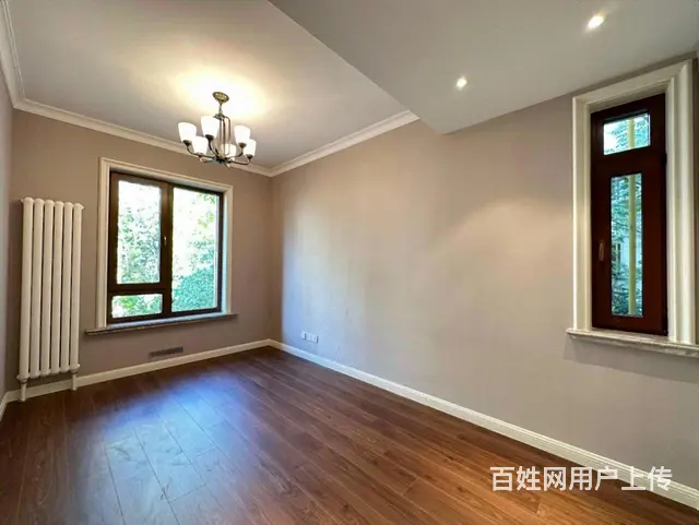 捡漏外滩   1带2层 下叠 共四层 带车位 赠花园 - 图片 2