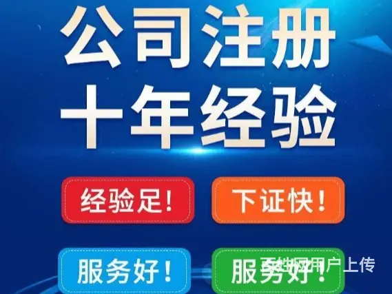 昆明嵩明营业执照发票托管找哪里 - 图片 2