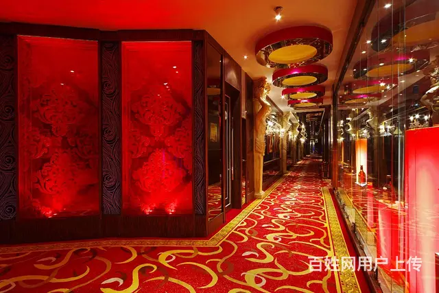 深圳龙泉[名列前茅] - 图片 4