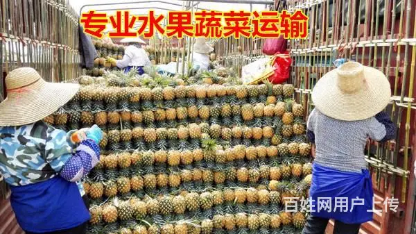 池州物流信息部|全国回程车物流、挖机运输、轿车托运 - 图片 4