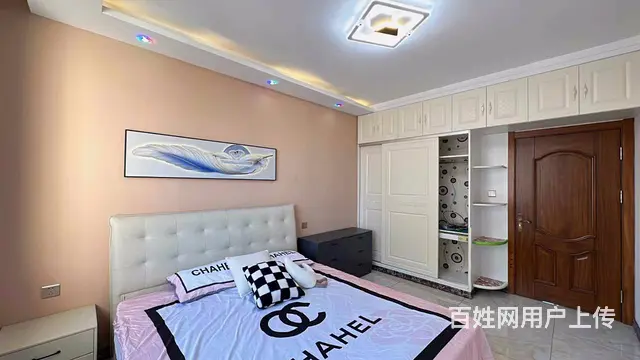 理想0451(道里-尚志) 普通住宅 精装修 - 图片 5