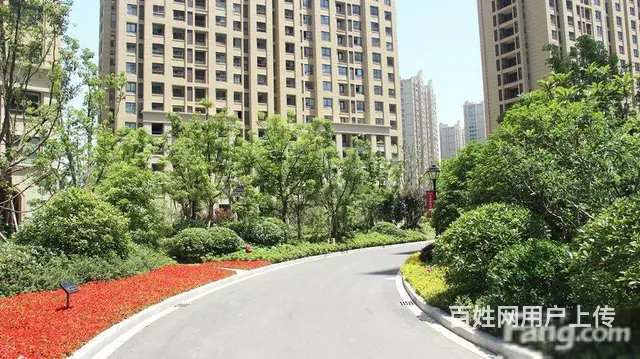 新出博小北郊户型正三开间朝南精装修配套齐全诚心出售 - 图片 9