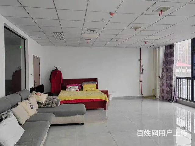 （老板本人）望城区金桥国际高铁西附近商铺/写字楼招租6015 - 图片 4