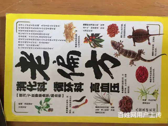 图片 - 图片 12