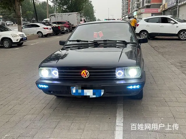 普桑 - 图片 1