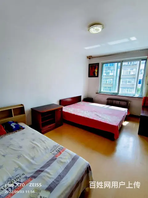辽河小区北站北广场附近 - 图片 5