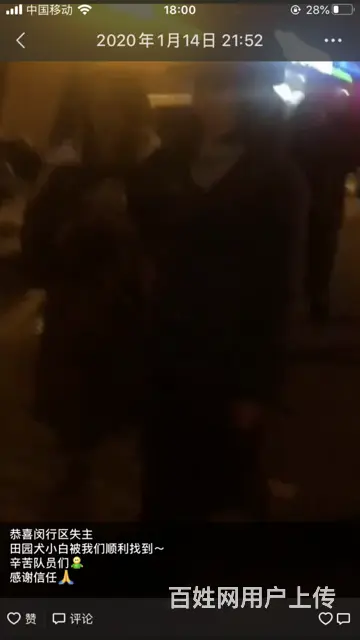 苏州猫咪丢了怎么找 专业找猫寻狗团队来帮你 - 图片 2