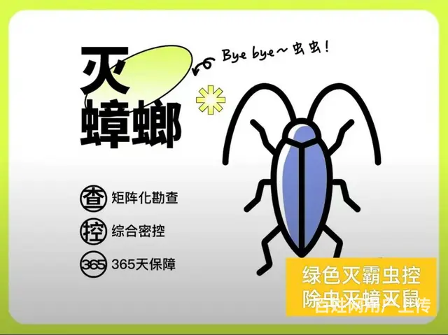 除百虫除四害灭蟑螂、灭蚂蚁、灭老鼠、灭蚂蚁 - 图片 8