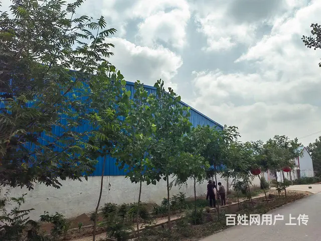 临沭县青云镇钢结构厂房出租 - 图片 3